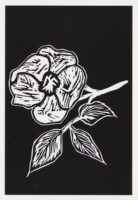 Black and white flower greeting card from an original lino-cut print by ...