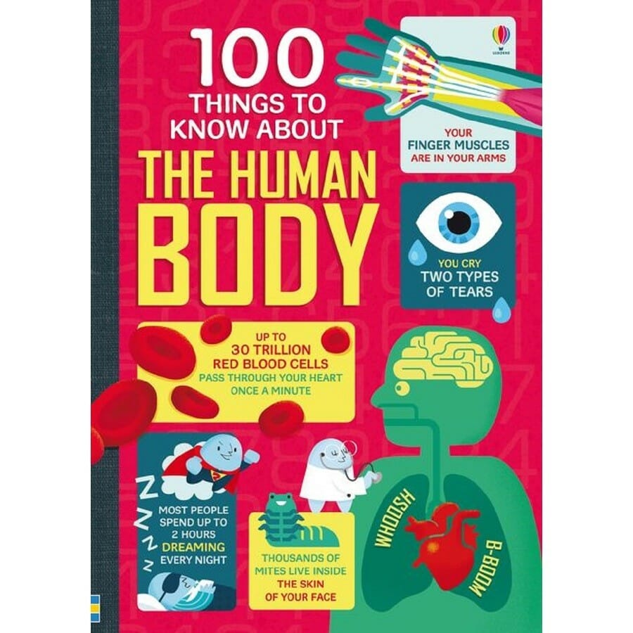 Things Real Body Usborne 100 Things To Know About The Human Body (Hardback) ⋆ Spend With ...