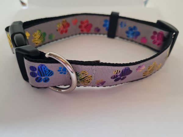 Dog collar Company of Animals Grey