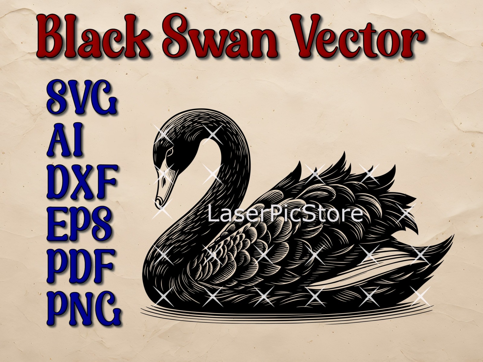 Black Swan Vector File ⋆ Spend With Us - Buy From a Bush Business