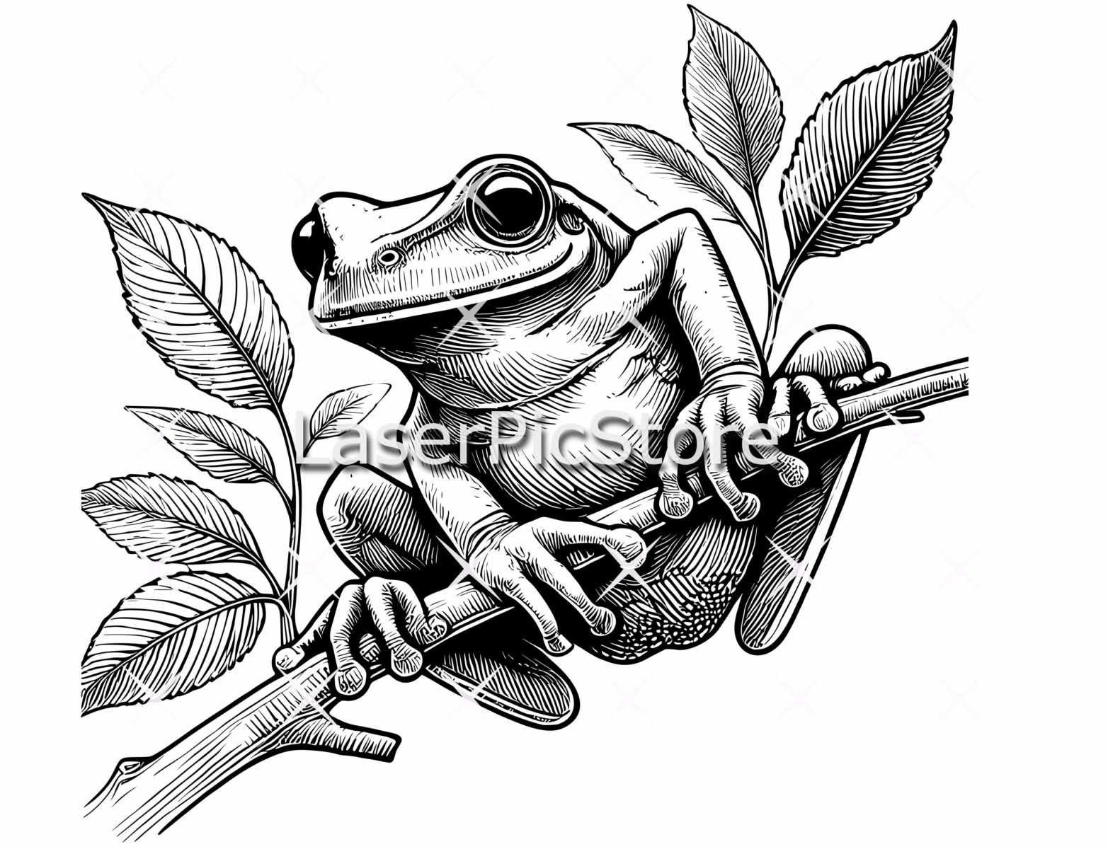 Vector Files Frog Tree Frog Vector File ⋆ Spend With Us - Buy From a Bush Business