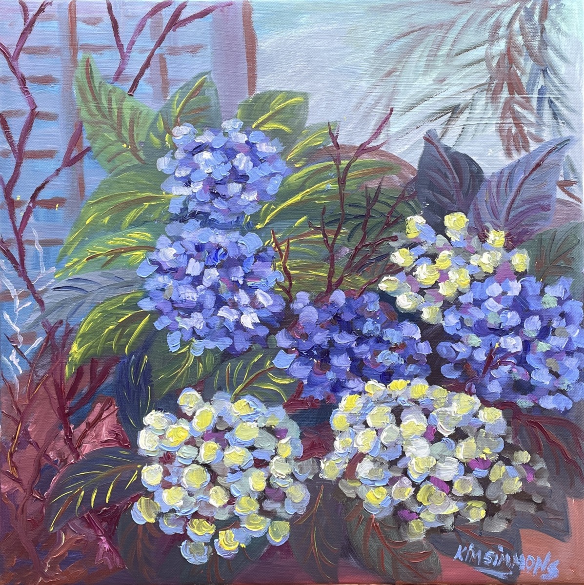Blue Hydrangea